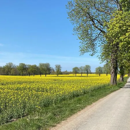 Holiday home Gut Koselau V Riepsdorf